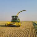 Benefits of Dehydrated Silage in Hot Climates