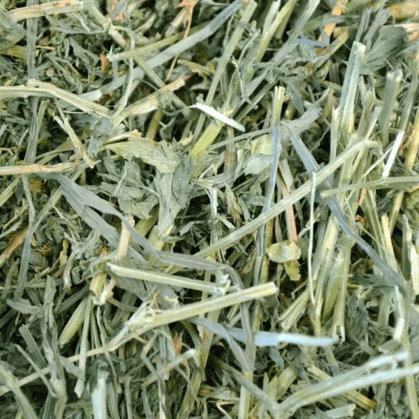 Western Forage hay bales