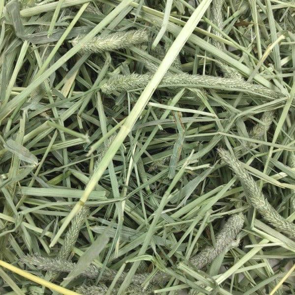 Premium Timothy Hay​