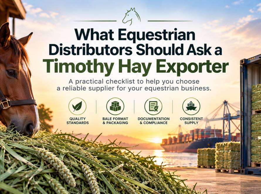 timothy hay for horses